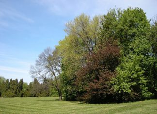 Dlaczego warto odpoczywać poza miastem?