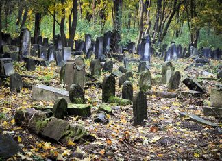 Przewodnik po Warszawie żydowskiej