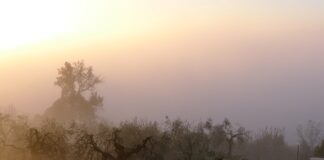 W jakim kraju jest 35 godzin pracy?