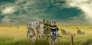 Gdzie w Polsce żyje się najkrócej?