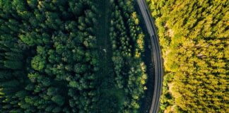 Dlaczego warto pojechać do Czech?