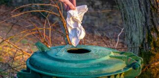 Ile kosztuje tona węgla z Czech?