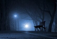 Jaki kraj jest 23 razy mniejszy od Polski? Jaki kraj jest 23 razy mniejszy od Polski?