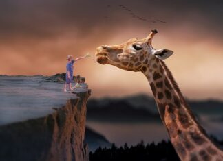 Co jeść żeby żyć 100 lat? Co jeść żeby żyć 100 lat?