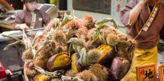 Jak najtaniej dojechać do Rzymu?