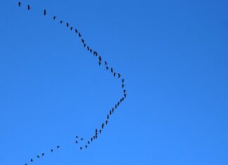 Kiedy najtaniej lecieć do Włoch? Kiedy najtaniej lecieć do Włoch?