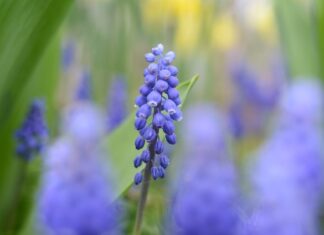 Co wyróżnia Włochy?