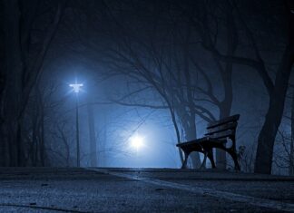 Czy Polska i Czechy się lubią? Czy Polska i Czechy się lubią?