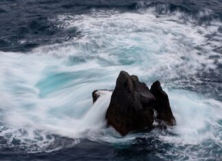 Jaki jest średni majątek Polaka?