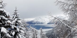 Ile wynosi średnia pensja w Czechach?