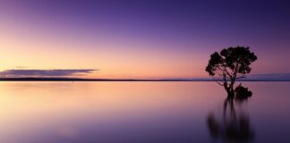 Ile kosztuje butelka wody we Włoszech?