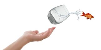 Czy na akt urodzenia można jechać za granicę?