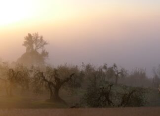 W jakim kraju jest 4 dniowy tydzień pracy? W jakim kraju jest 4 dniowy tydzień pracy?