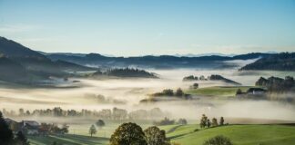 Co trzeba mieć w aucie jadąc do Austrii?