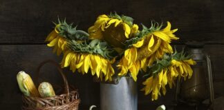 Czy policja ma dostęp do odcisków palców?