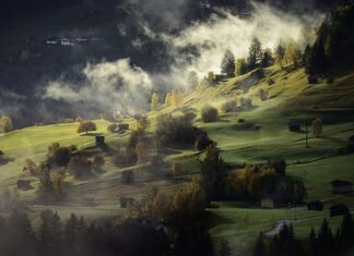 Na czym stoją domy w Wenecji?