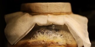 Czy można pić wino w trakcie fermentacji?