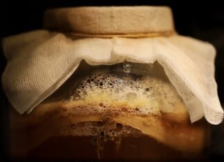 Czy można pić wino w trakcie fermentacji?