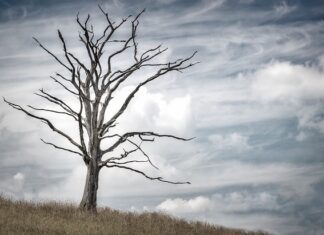 Ile przeciętnie żyje człowiek?