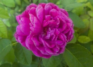 Czy ZUS widzi pracę za granicą? Czy ZUS widzi pracę za granicą?