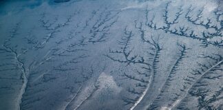 Jaki napiwek zostawia się w Czechach?