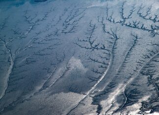 Jaki napiwek zostawia się w Czechach?