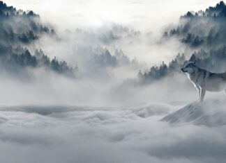 Czy we Włoszech jest zima? Czy we Włoszech jest zima?