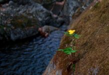 Czego unikać w Wenecji?