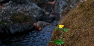 Czego unikać w Wenecji?