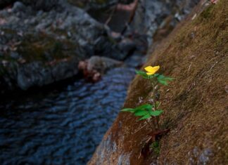 Czego unikać w Wenecji?