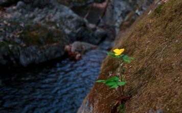 Czego unikać w Wenecji?