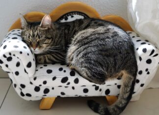 Do której trwa Siesta we Włoszech?