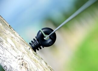 Jak Czesi postrzegają Polaków?