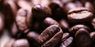 Co grozi za brak dowodu osobistego w Czechach?