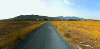 Jak inaczej nazywano braci polskich?