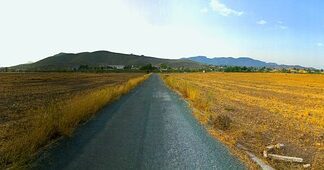 Jak inaczej nazywano braci polskich? Jak inaczej nazywano braci polskich?