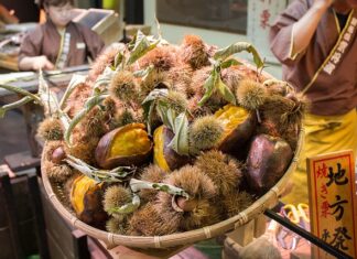 Jak dojechać z Polski do Czech? Jak dojechać z Polski do Czech?