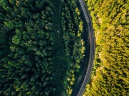 Czy można jechać do Czech na legitymację?