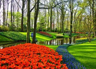 Co jest typowo polskie? Co jest typowo polskie?