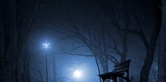 Czy można wrócić do Polski z nieważnym paszportem?