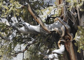 Jaki jest najstarszy kraj w Europie? Jaki jest najstarszy kraj w Europie?