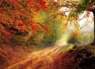 Ile trwa rok szkolny we Włoszech? Ile trwa rok szkolny we Włoszech?