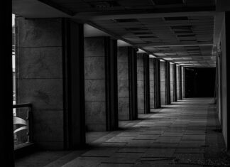 Czy światła pozycyjne i postojowe to to samo? Czy światła pozycyjne i postojowe to to samo?