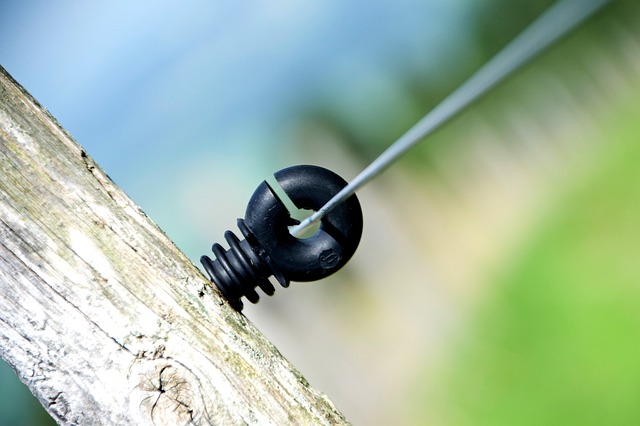 Jak obcokrajowcy nazywają Polaków? Jak obcokrajowcy nazywają Polaków?