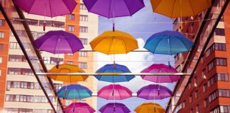 Ile Czechów jest w Polsce?