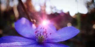 W jakim kraju jest najmniej godzin pracy?