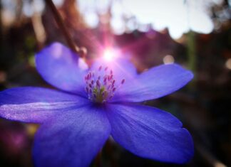 W jakim kraju jest najmniej godzin pracy?