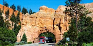 Co trzeba wiedzieć przed wjazdem do Czech?