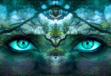 Jak można potwierdzić tożsamość bez dowodu? Jak można potwierdzić tożsamość bez dowodu?