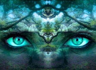 Jak można potwierdzić tożsamość bez dowodu?